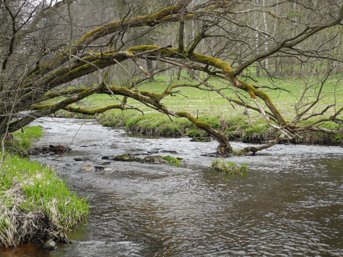 M�e nad n�dr�� Lu�ina