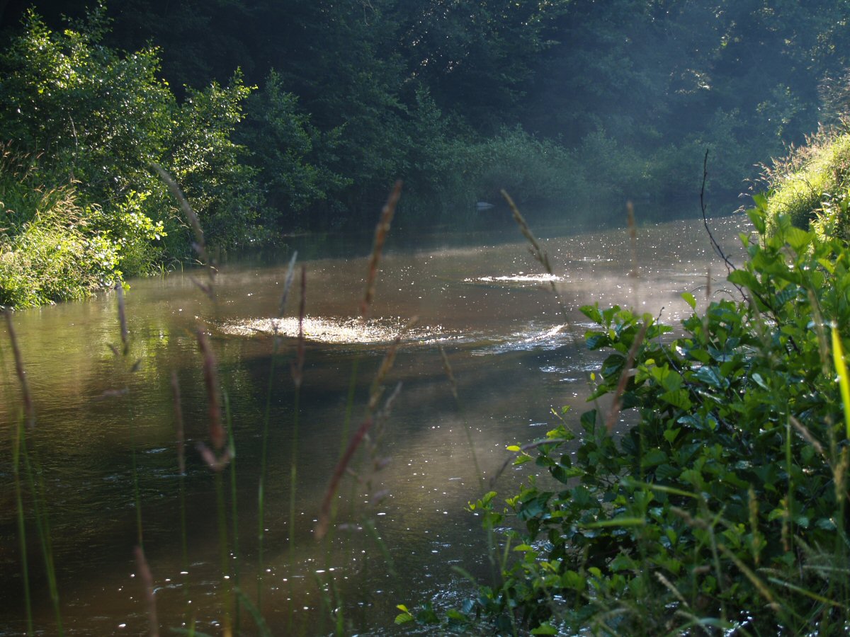 M�e u Svoj��na