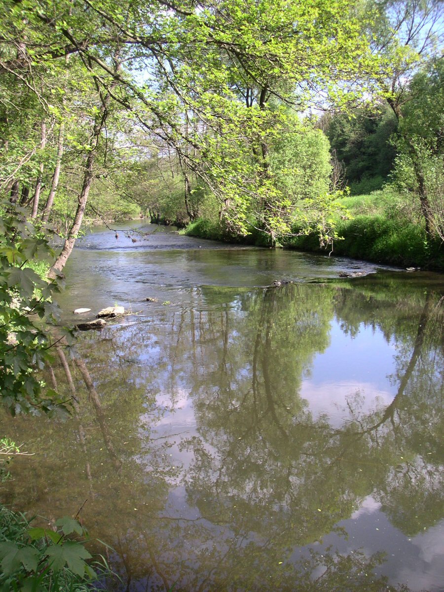 M�e pod Hracholuskou p�ehradou