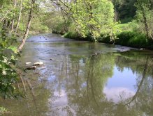 Mže pod Hracholuskou přehradou