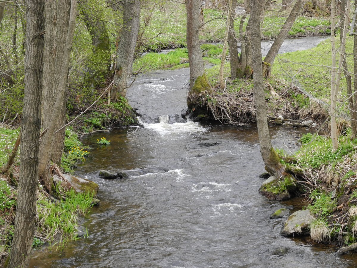 M�e nad n�dr�� Lu�ina