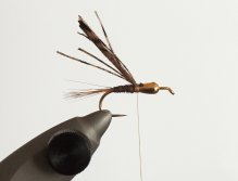 KROK 3 - Tvarování tělíčka & Kroužkování