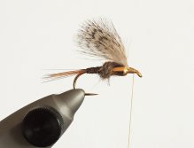 KROK 5 - Vytváření zárodků křídel & Přichycení pírka koroptve