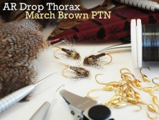 U svěráčku  - AR Drop Thorax March Brown PTN