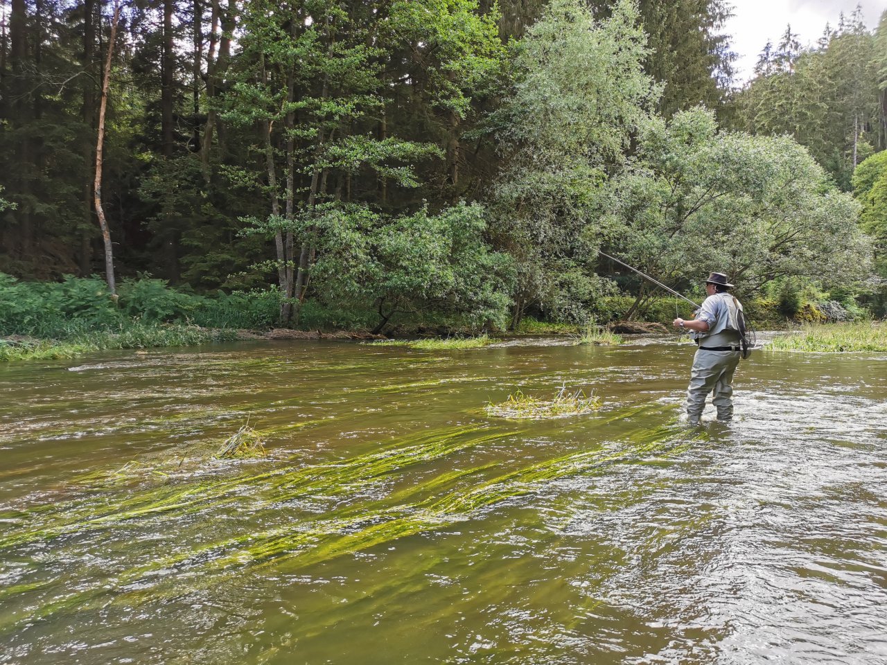 �elivka pod Sedlicemi