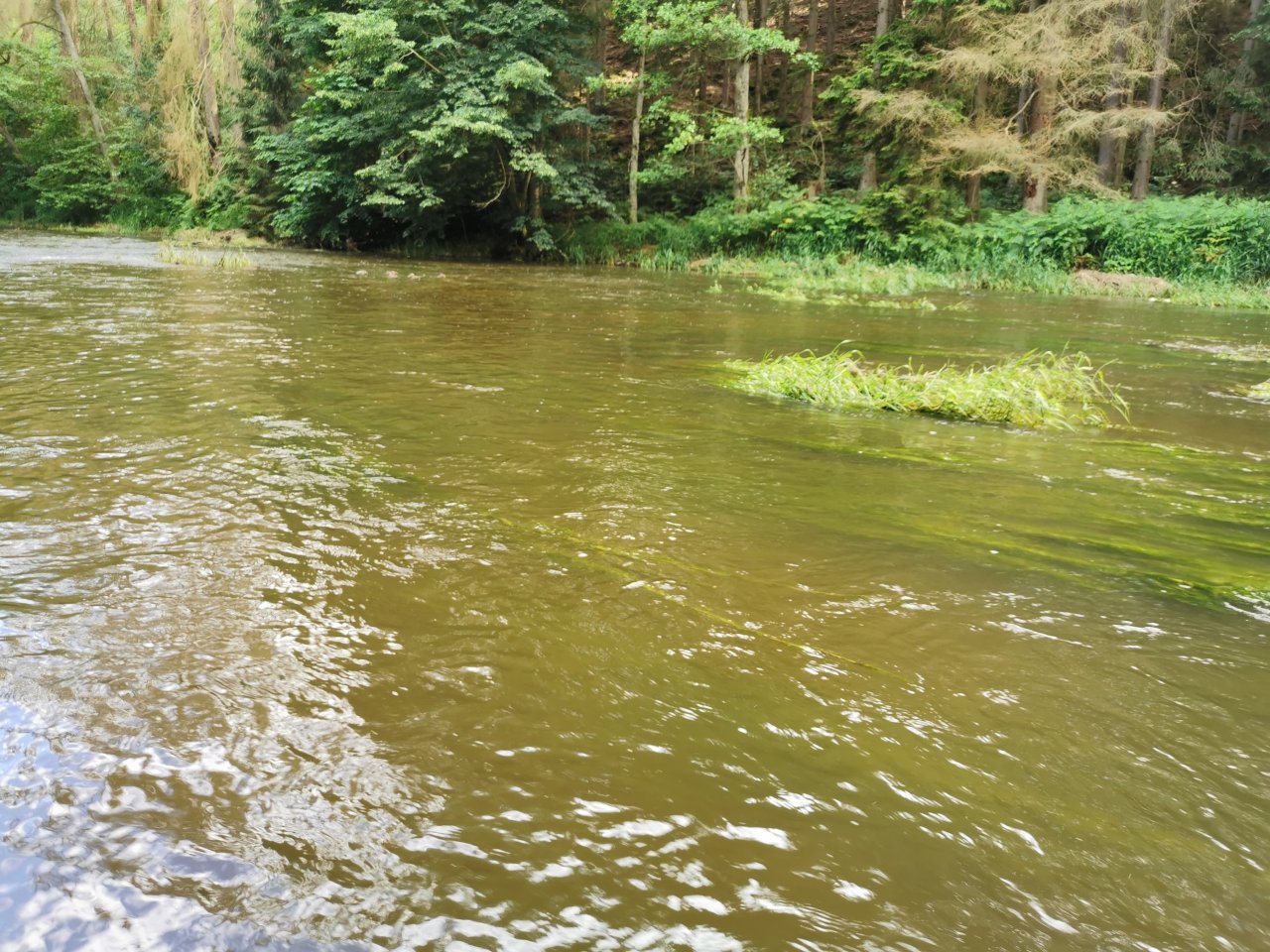 �elivka pod Sedlicemi