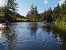 Želivka pod Sedlicemi