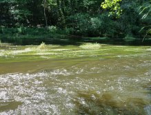 Želivka pod Sedlicemi