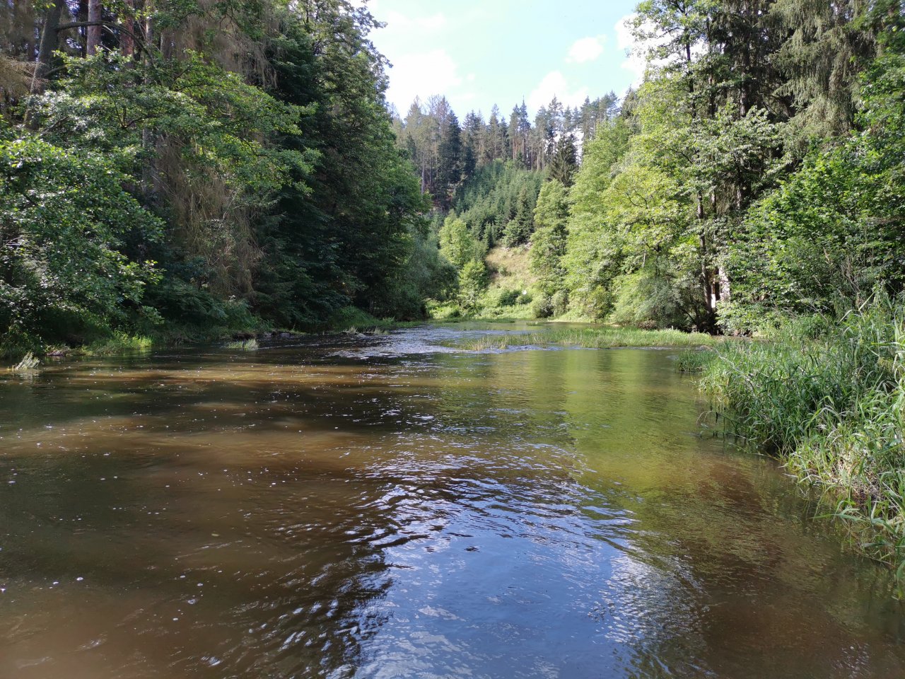 �elivka pod Sedlicemi