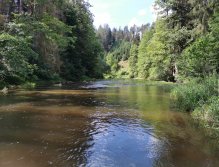 Želivka pod Sedlicemi