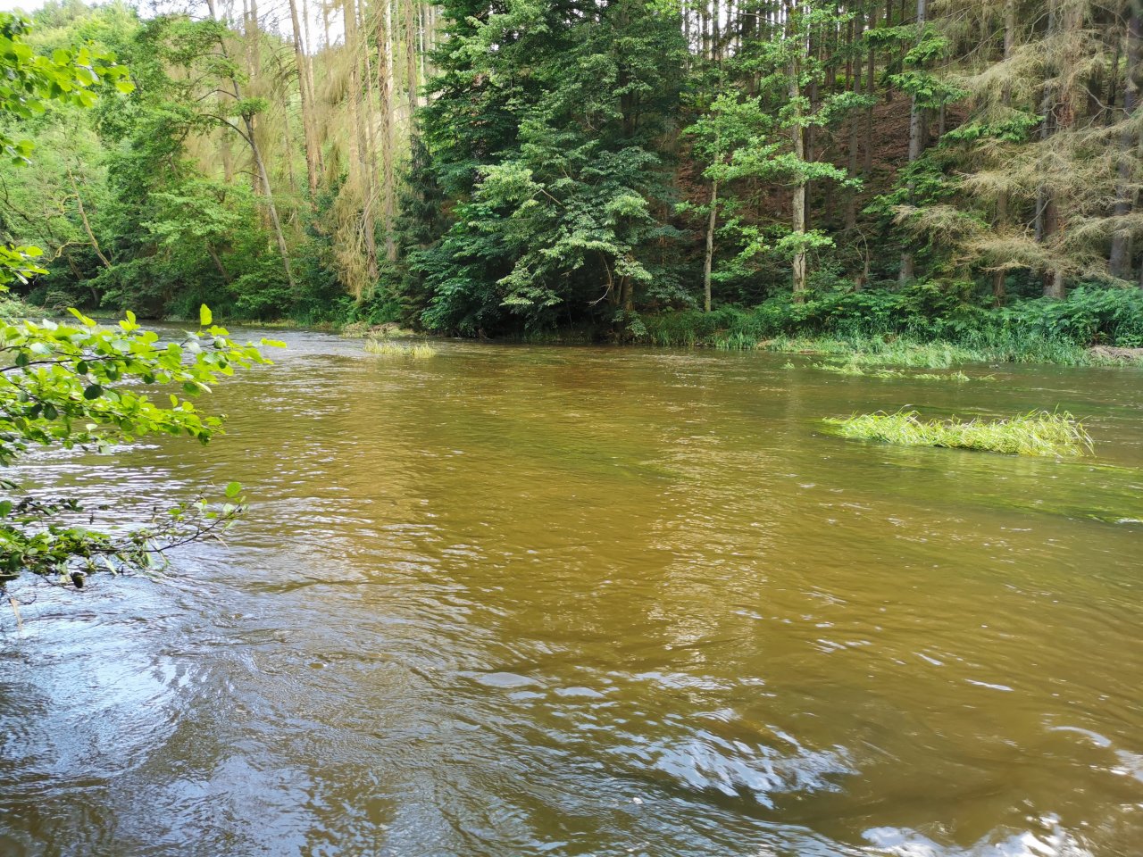 �elivka pod Sedlicemi