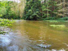 Želivka pod Sedlicemi