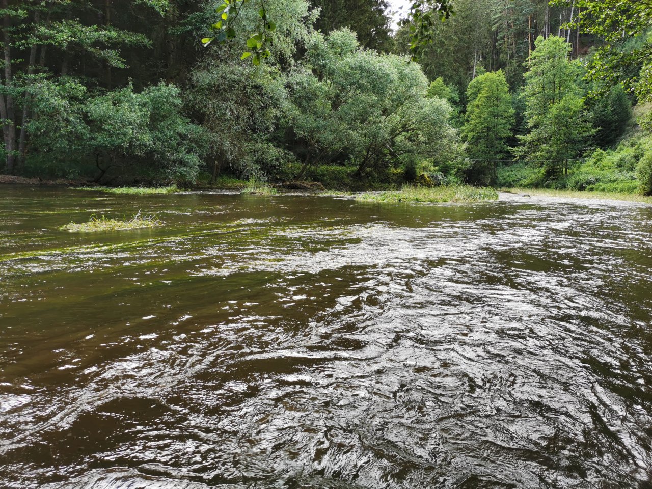 �elivka pod Sedlicemi