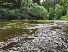 Želivka pod Sedlicemi