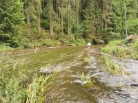 elivka pod Sedlicemi