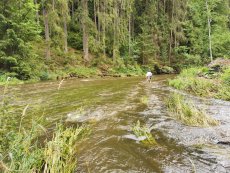 Želivka pod Sedlicemi - fotogalerie