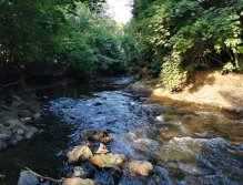 Muškaření na Červeném potoce ve Zdicích