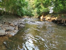 Muškaření na Červeném potoce ve Zdicích