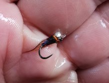 Lov na nymfu je úspěšný při vyšší vodě