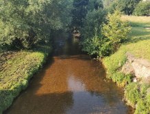 Muškaření na Červeném potoce ve Zdicích