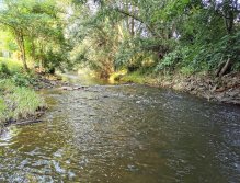 Muškaření na Červeném potoce ve Zdicích