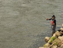 Pražská muška 2022