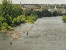 Pražská muška 2022