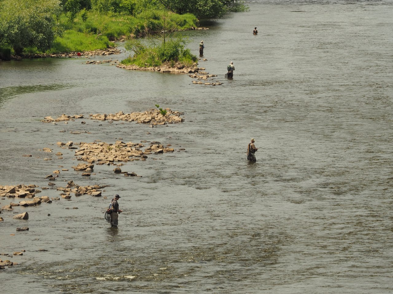 Pra�sk� mu�ka 2022