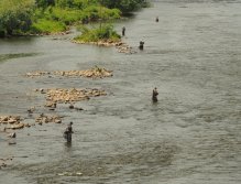 Pražská muška 2022