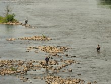 Pražská muška 2022