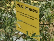 Pražská muška 2022