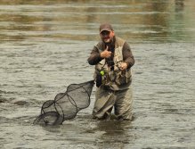 Pražská muška 2022