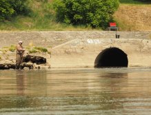 Pražská muška 2022