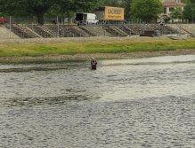 Pražská muška 2022