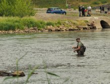 Pražská muška 2022