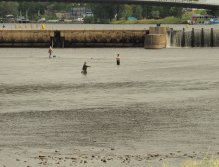 Pražská muška 2022