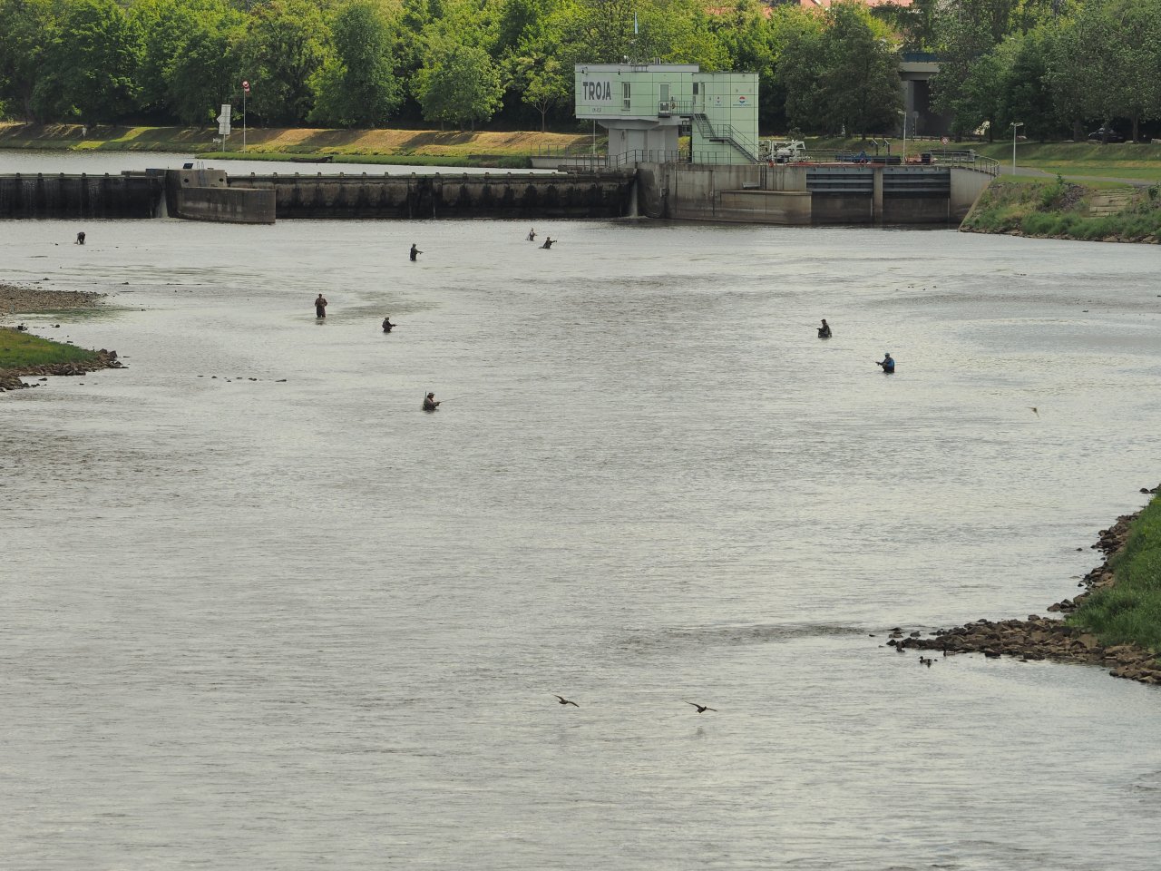 Pra�sk� mu�ka 2022