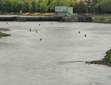 Pražská muška 2022