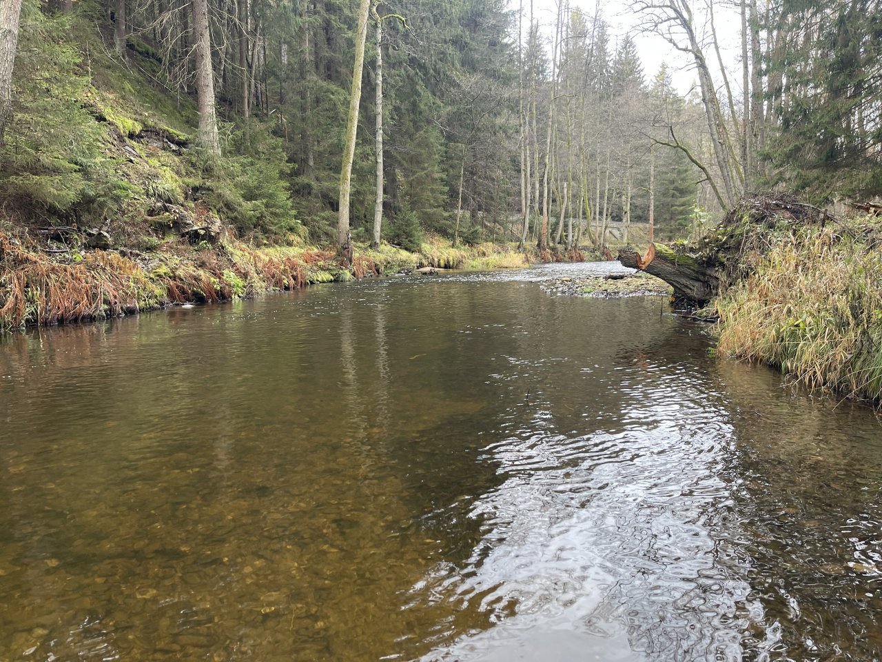 Svatava v okol� obce H�ebeny