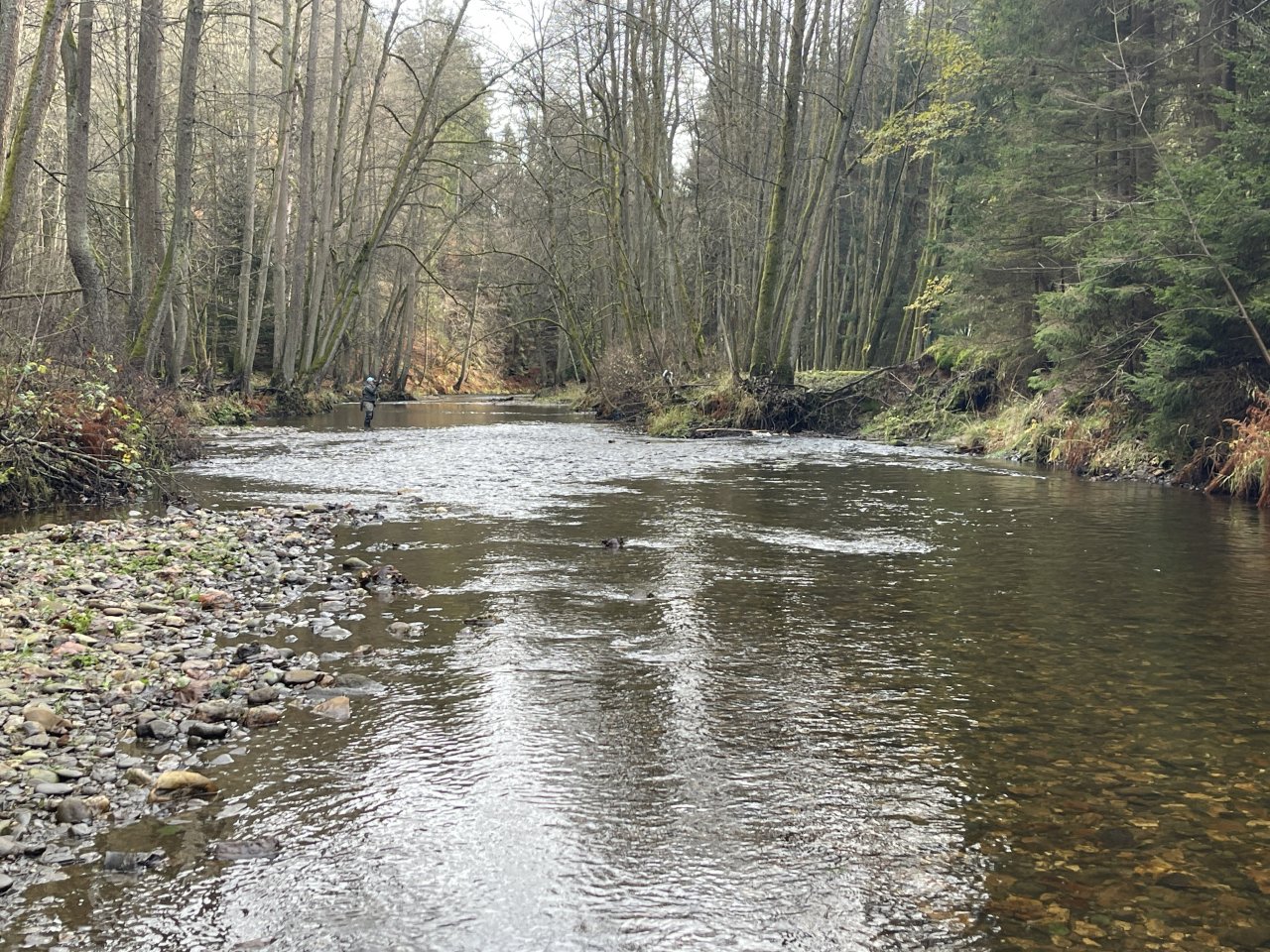 Svatava v okol� obce H�ebeny