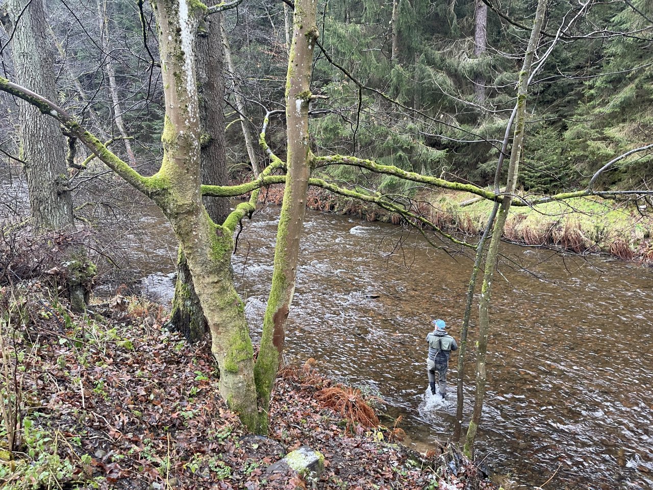 Svatava v okol� obce H�ebeny