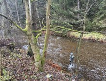 Svatava v okolí obce Hřebeny