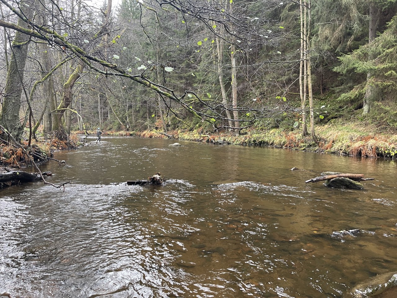 Svatava v okol� obce H�ebeny