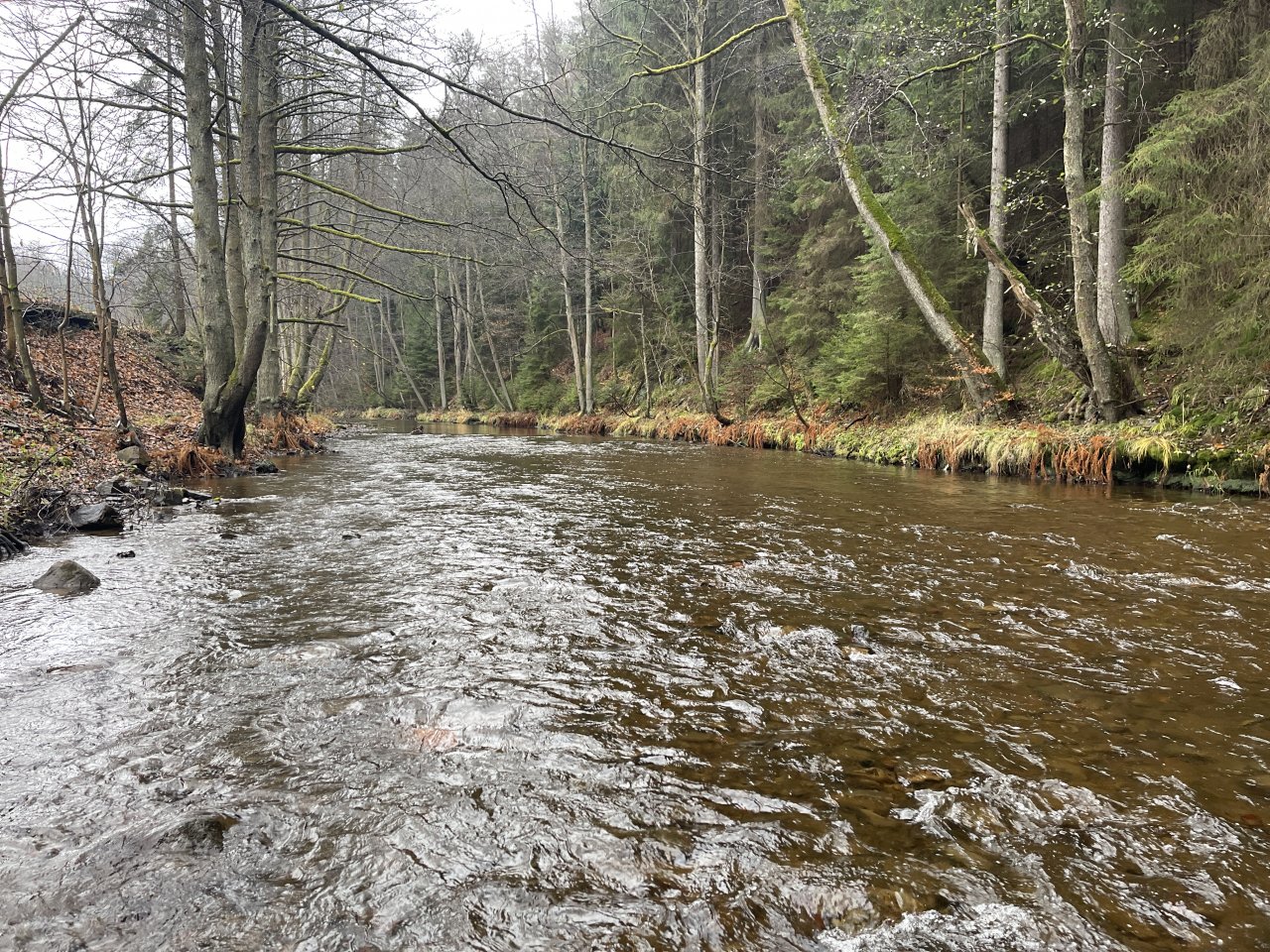 Svatava v okol� obce H�ebeny