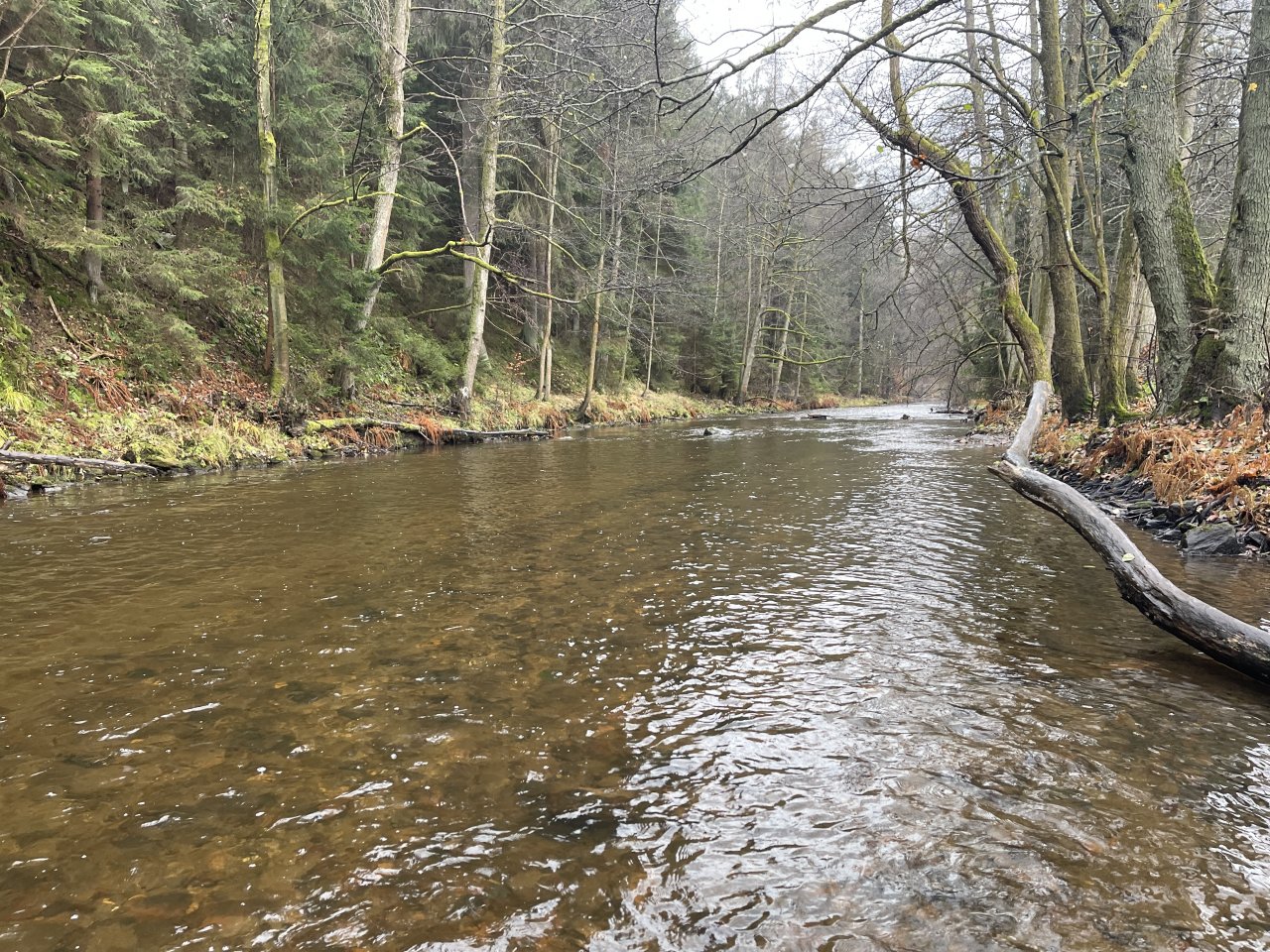 Svatava v okol� obce H�ebeny