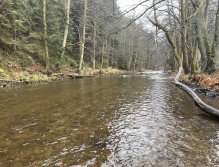 Svatava v okolí obce Hřebeny