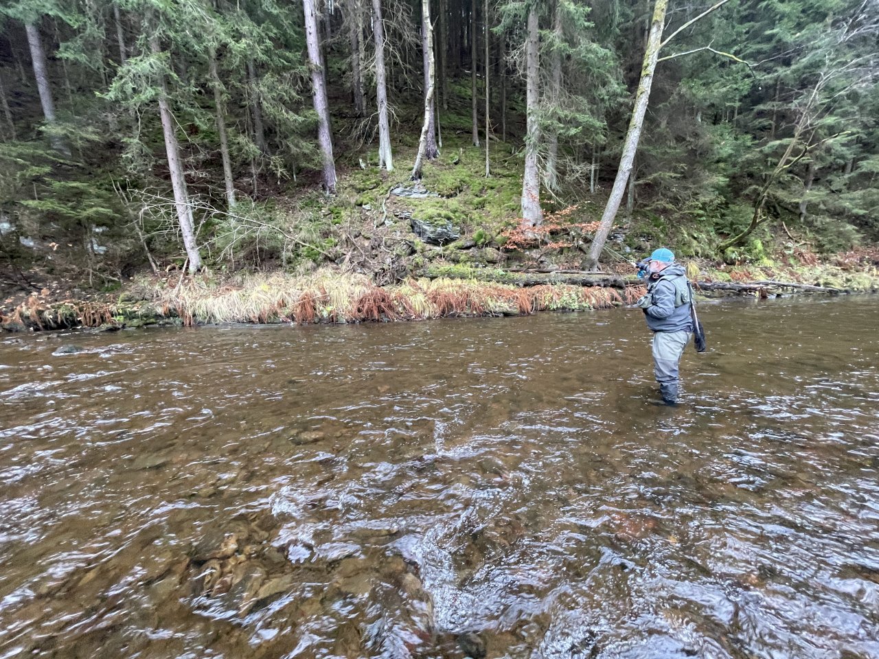 Svatava v okol� obce H�ebeny