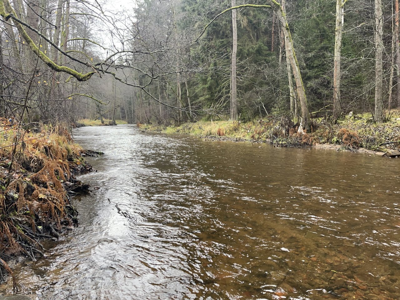 Svatava v okol� obce H�ebeny