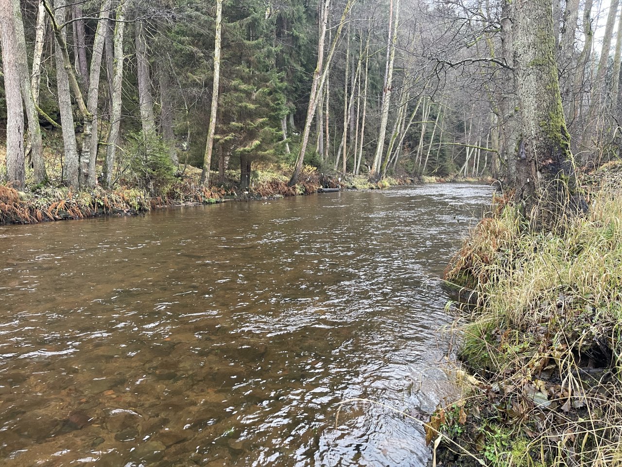 Svatava v okol� obce H�ebeny