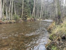 Svatava v okolí obce Hřebeny
